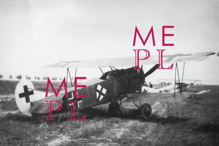 : Fokker D-VII / 7 : Fokker D-VII / 7