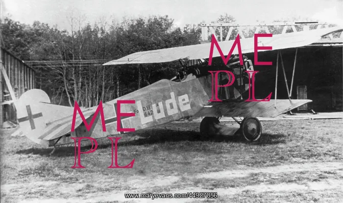 : Fokker D-VII / 7 : Fokker D-VII / 7