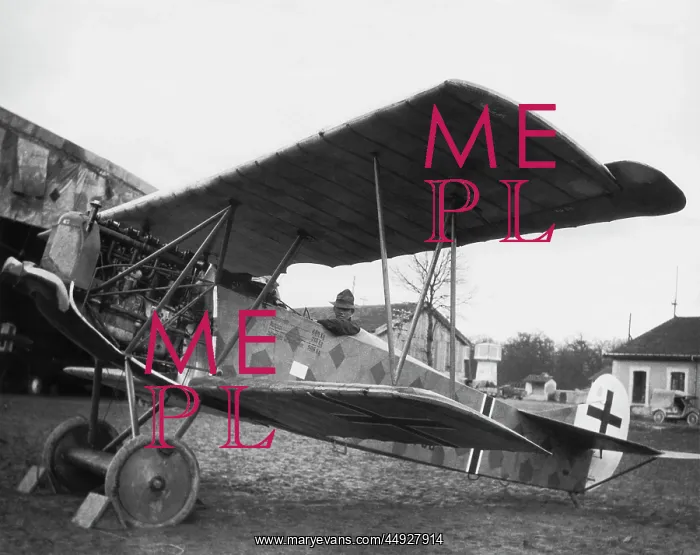 : Fokker D-VII / 7 : Fokker D-VII / 7