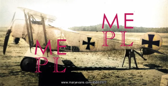 : Fokker DII, (side view, on the ground, tail-up) on tres? : Fokker DII, (side view, on the ground, tail-up) on tres?