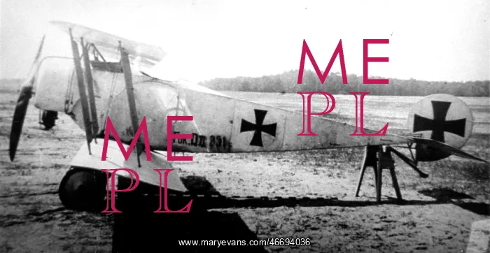 : Fokker DII, (side view, on the ground, tail-up) on tres : Fokker DII, (side view, on the ground, tail-up) on tres