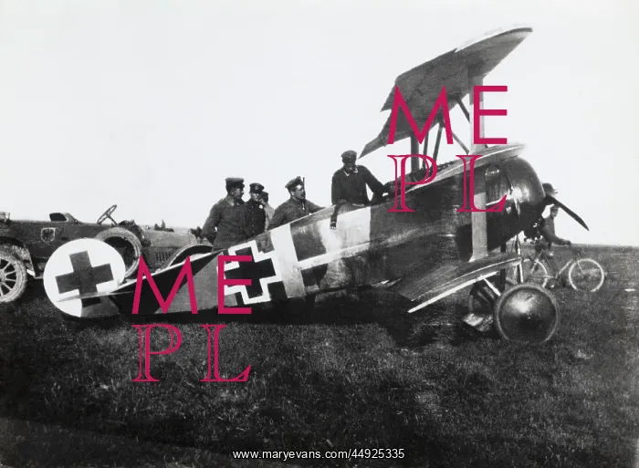 : Fokker DR-1 Triplane : Fokker DR-1 Triplane