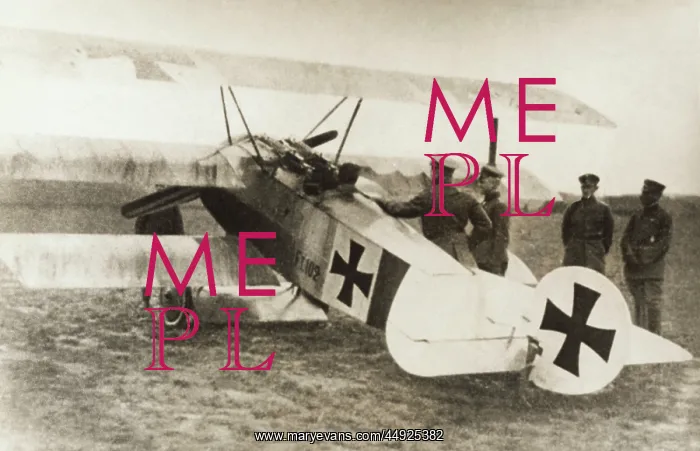 : Fokker DR-1 Triplane : Fokker DR-1 Triplane