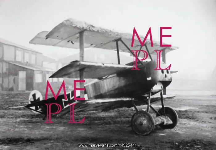 : Fokker DR-1 Triplane : Fokker DR-1 Triplane