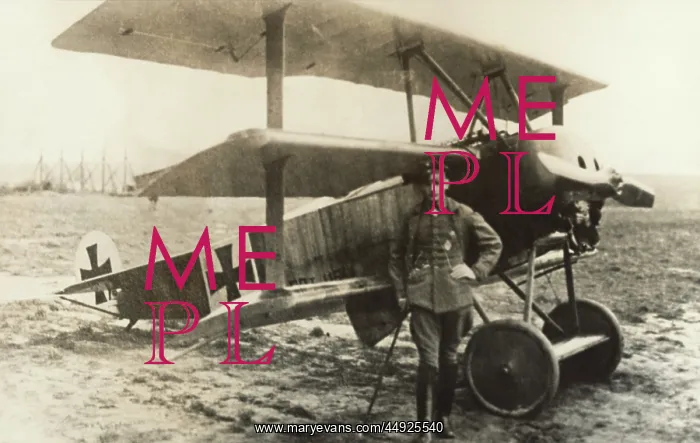 : Fokker DR-1 Triplane : Fokker DR-1 Triplane