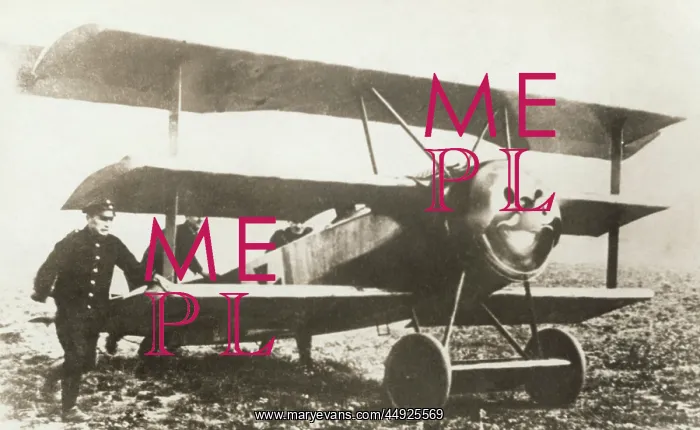 : Fokker DR-1 Triplane : Fokker DR-1 Triplane
