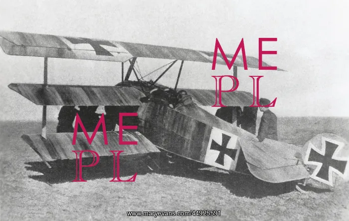 : Fokker DR-1 Triplane : Fokker DR-1 Triplane
