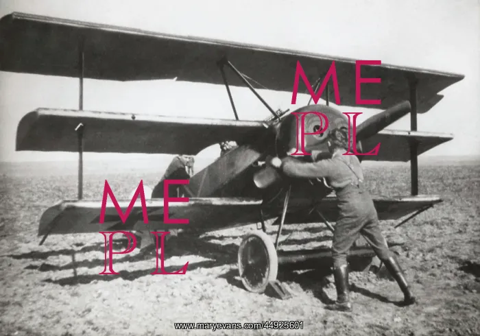 : Fokker DR-1 Triplane : Fokker DR-1 Triplane