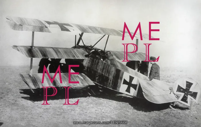 : Fokker DR-1 Triplane : Fokker DR-1 Triplane