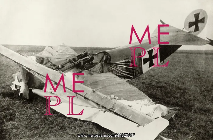 : Fokker DR-1 Triplane : Fokker DR-1 Triplane