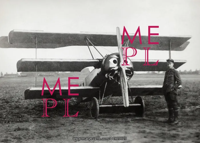 : Fokker DR-1 Triplane : Fokker DR-1 Triplane