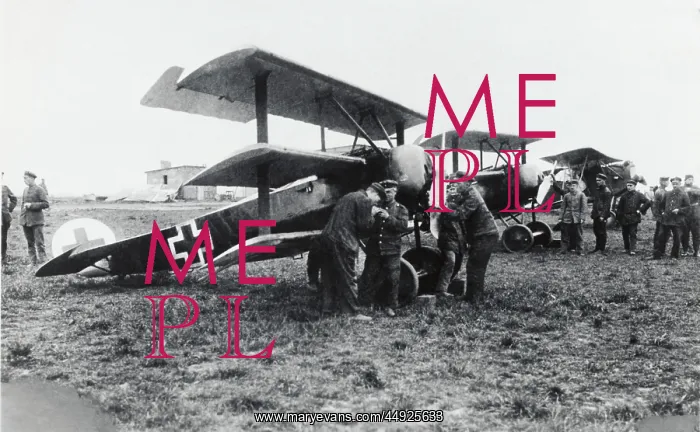 : Fokker DR-1 Triplane : Fokker DR-1 Triplane
