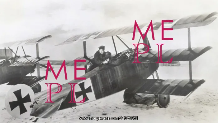 : Fokker DR-1 Triplane : Fokker DR-1 Triplane