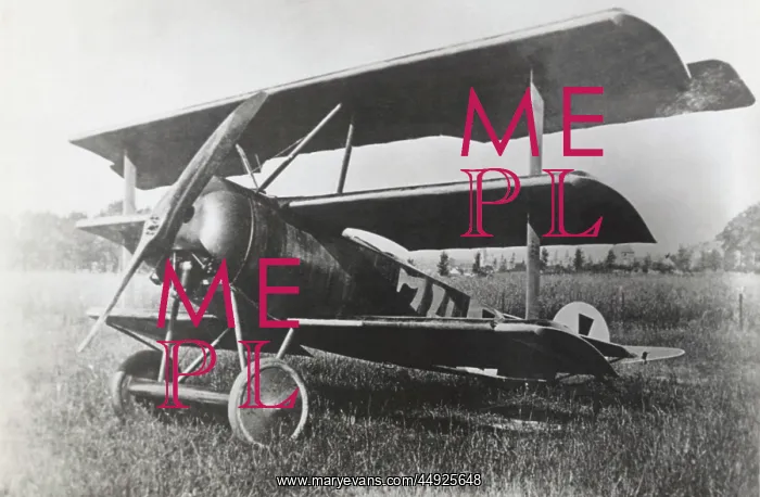 : Fokker DR-1 Triplane : Fokker DR-1 Triplane