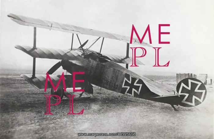 : Fokker DR-1 Triplane : Fokker DR-1 Triplane