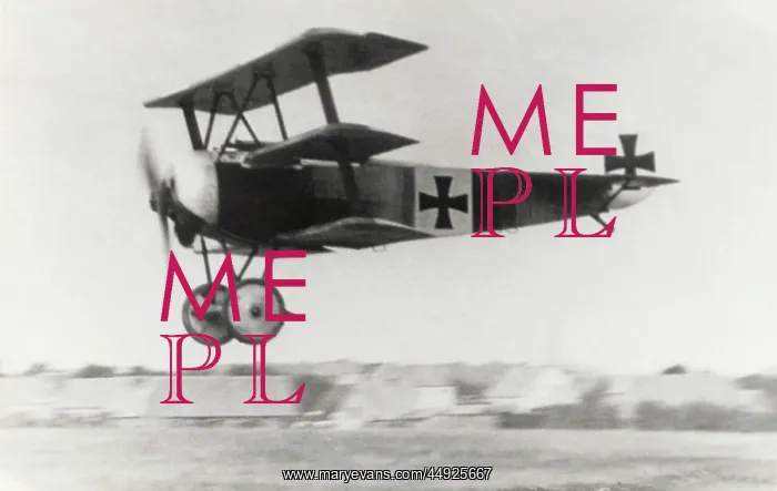 : Fokker DR-1 Triplane : Fokker DR-1 Triplane
