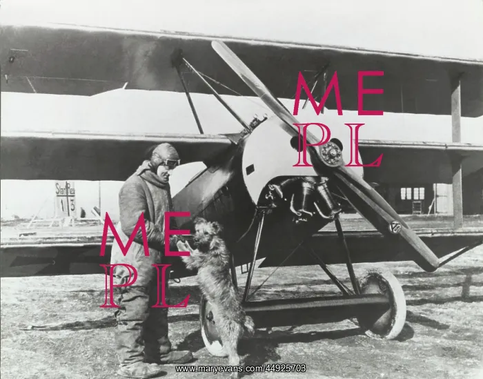 : Fokker DR-1 Triplane : Fokker DR-1 Triplane