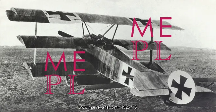 : Fokker DR-1 Triplane : Fokker DR-1 Triplane