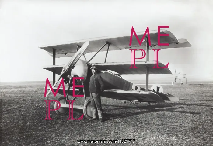 : Fokker DR-1 Triplane : Fokker DR-1 Triplane