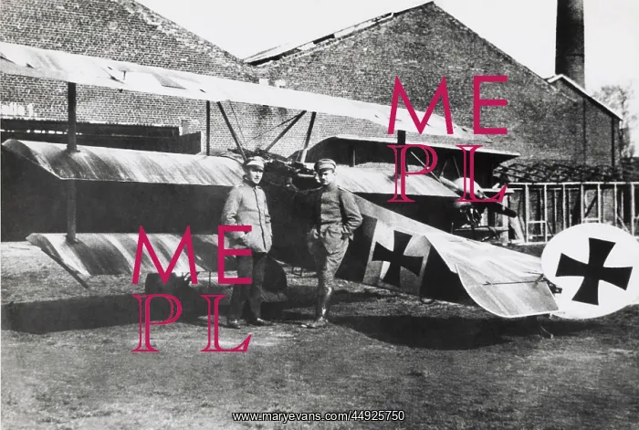: Fokker DR-1 Triplane : Fokker DR-1 Triplane