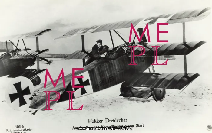 : Fokker DR-1 Triplane : Fokker DR-1 Triplane