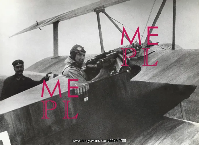 : Fokker DR-1 Triplane : Fokker DR-1 Triplane