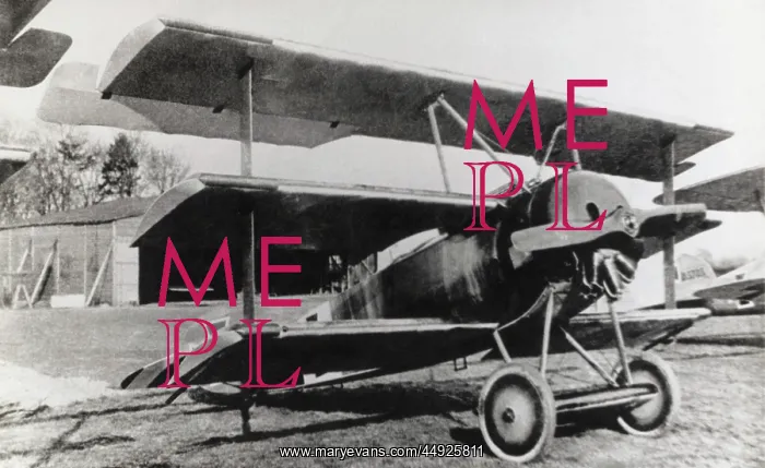 : Fokker DR-1 Triplane : Fokker DR-1 Triplane