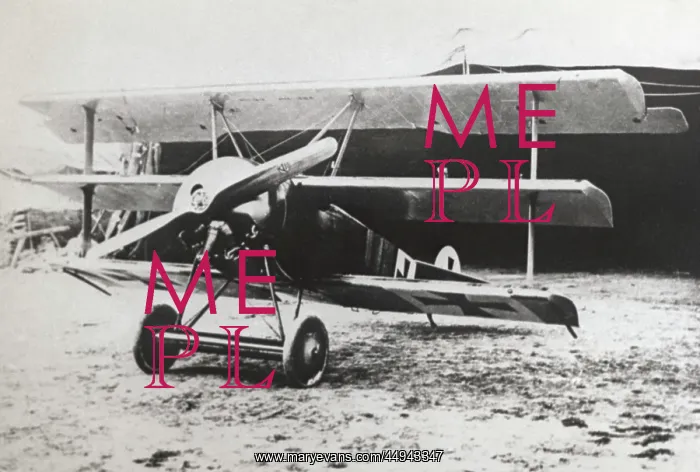 : Fokker DR-1 Triplane : Fokker DR-1 Triplane