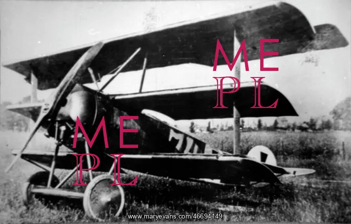 : Fokker DrI produced to counter the Sopwith Triplane, it : Fokker DrI produced to counter the Sopwith Triplane, it