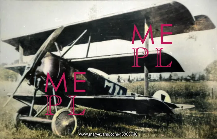 : Fokker DrI produced to counter the Sopwith Triplane, it? : Fokker DrI produced to counter the Sopwith Triplane, it?