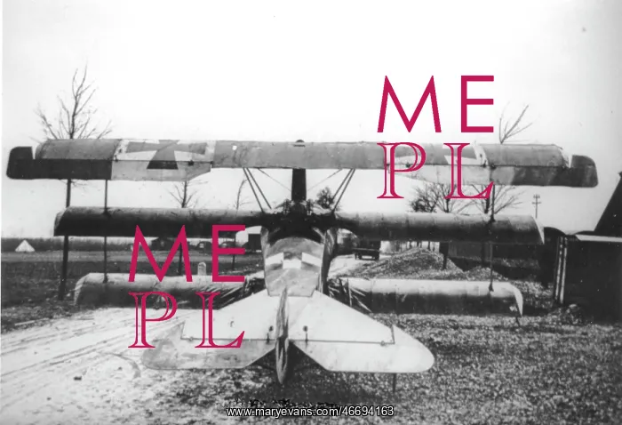  : Fokker DrI, rear, (on the ground)