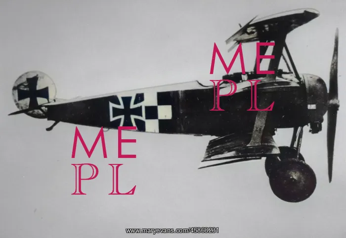 : Fokker DrI (side view, on the ground, tail-up) : Fokker DrI (side view, on the ground, tail-up)