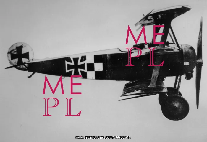 : Fokker DrI (side view, on the ground, tail-up) : Fokker DrI (side view, on the ground, tail-up)