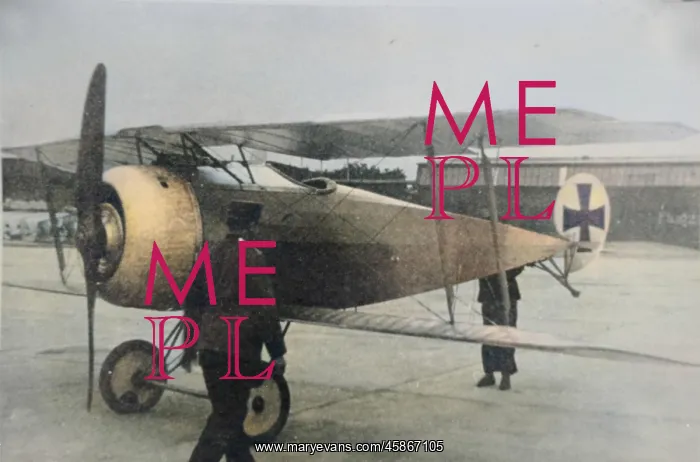 : Fokker DV, (forward view, on the ground, tail-up) : Fokker DV, (forward view, on the ground, tail-up)