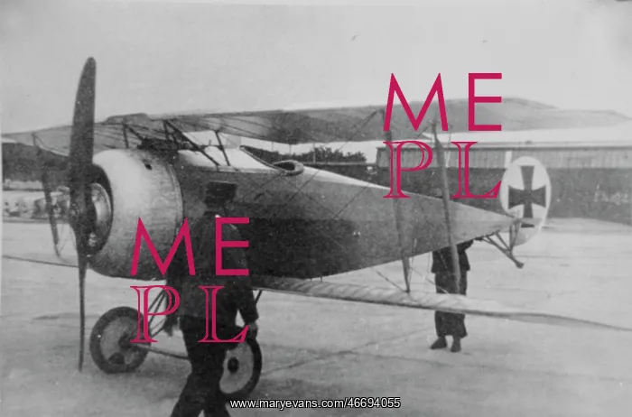 : Fokker DV, (forward view, on the ground, tail-up) : Fokker DV, (forward view, on the ground, tail-up)