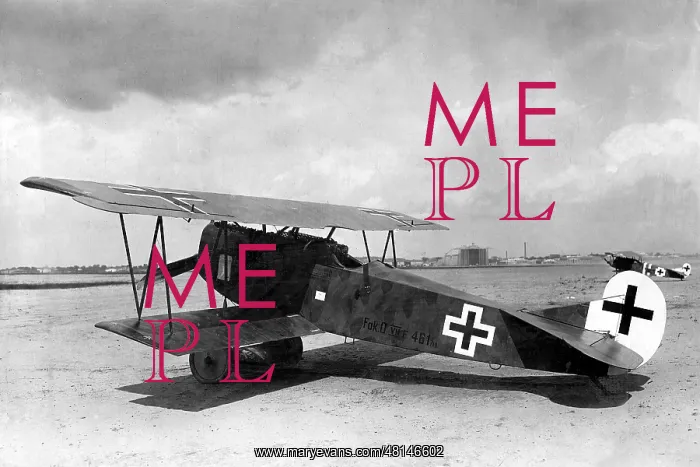 : Fokker DVII, 1917 : Fokker DVII, 1917
