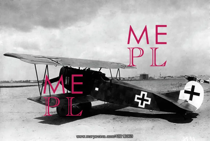 : Fokker D.VII, 1918 : Fokker D.VII, 1918