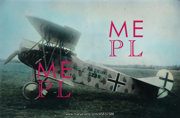 : Fokker DVII, 5220-18, (side view, on the ground) : Fokker DVII, 5220-18, (side view, on the ground)