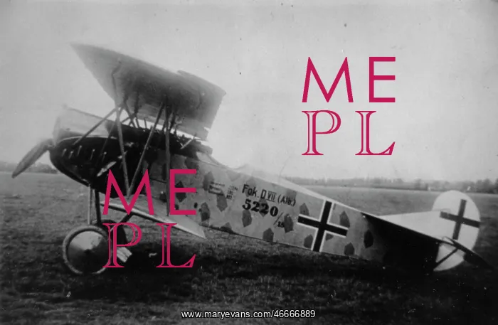 : Fokker DVII, 5220-18, (side view, on the ground) : Fokker DVII, 5220-18, (side view, on the ground)