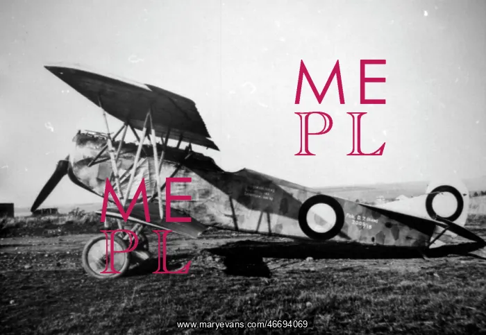 : Fokker DVII captured by British