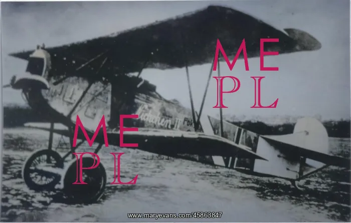 : Fokker DVII, (forward view, on the ground) : Fokker DVII, (forward view, on the ground)