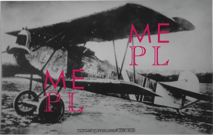 : Fokker DVII, (forward view, on the ground) : Fokker DVII, (forward view, on the ground)