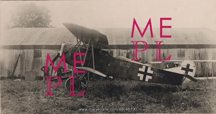 : Fokker DVII in German markings : Fokker DVII in German markings