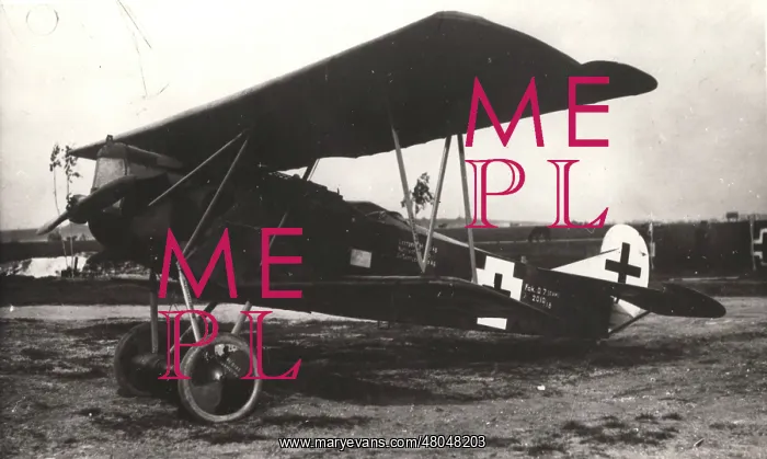 : Fokker DVII in German markings : Fokker DVII in German markings