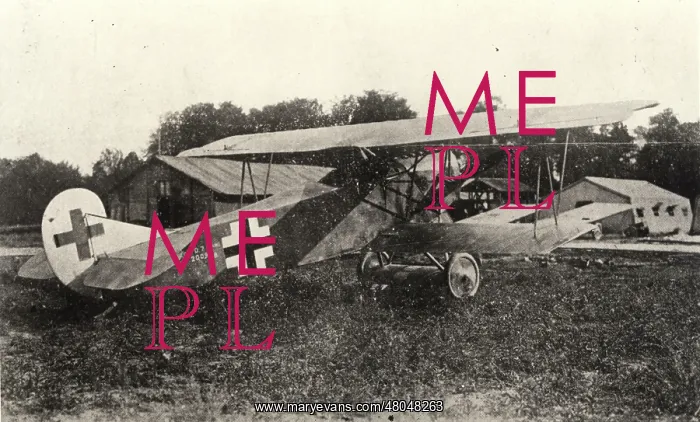 : Fokker DVII in German markings : Fokker DVII in German markings