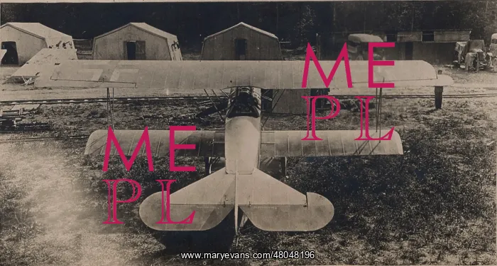 : Fokker DVII in German markings from above rear : Fokker DVII in German markings from above rear