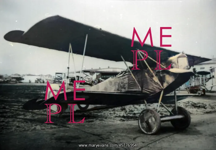  : Fokker DVII, (on the ground)