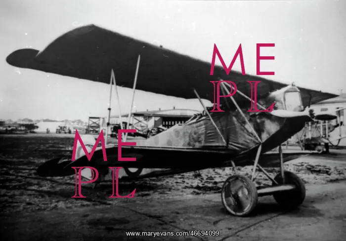  : Fokker DVII, (on the ground)