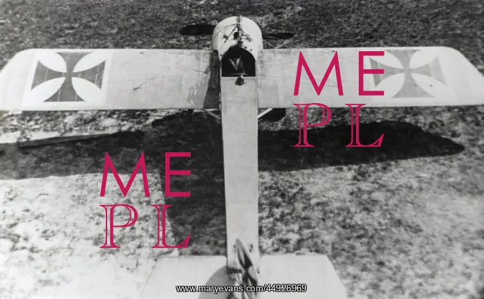 : Fokker E-II / 2 Eindecker monoplane : Fokker E-II / 2 Eindecker monoplane