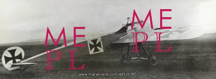 : Fokker E-II / 2 Eindecker monoplane : Fokker E-II / 2 Eindecker monoplane
